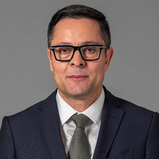 Alexander Pulev